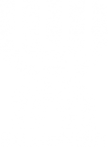 אודות