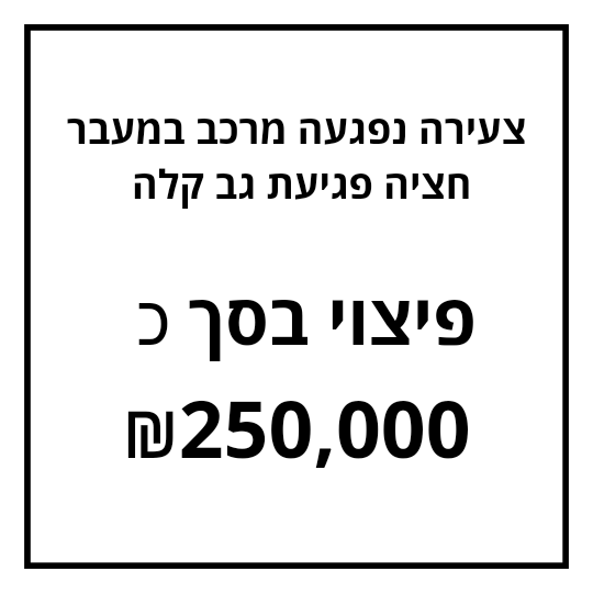 מקרים בטיפול משרדינו